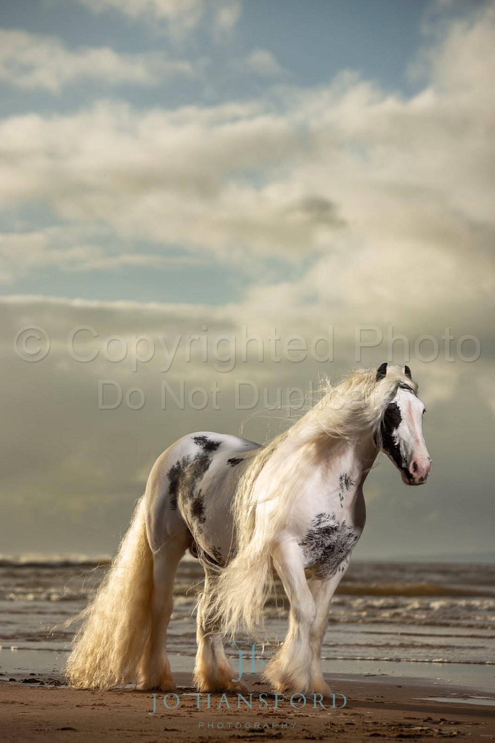 Marmite Maralyn equine beach shoot lit